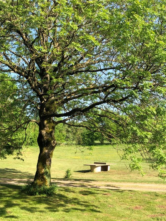 Domaine De Tapies 2 Gites Jusqu A 19 Personnes Cornus Exterior foto